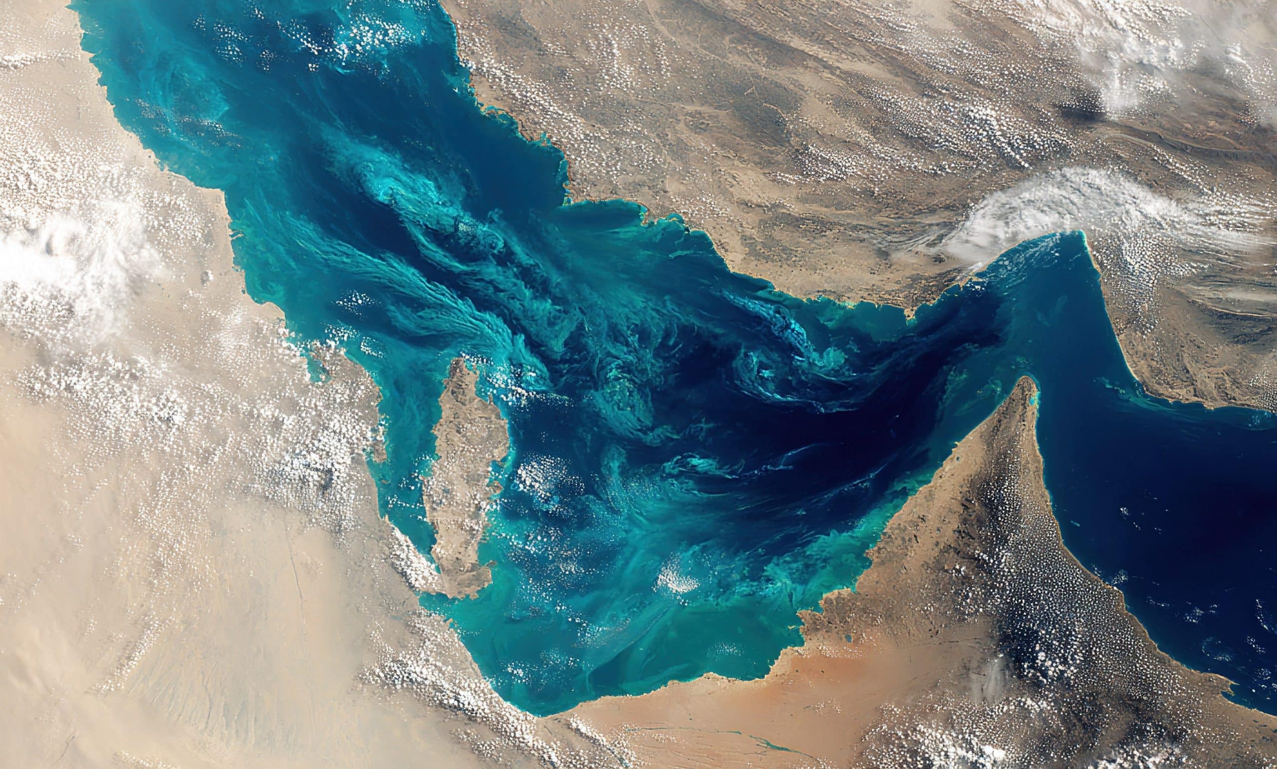 Fertilizer and the Middle East Conflict