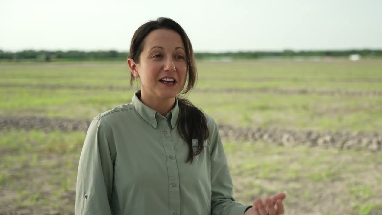 Driving Sustainability + Efficiency: How Florida Growers + Retailers Optimize Nutrient Management