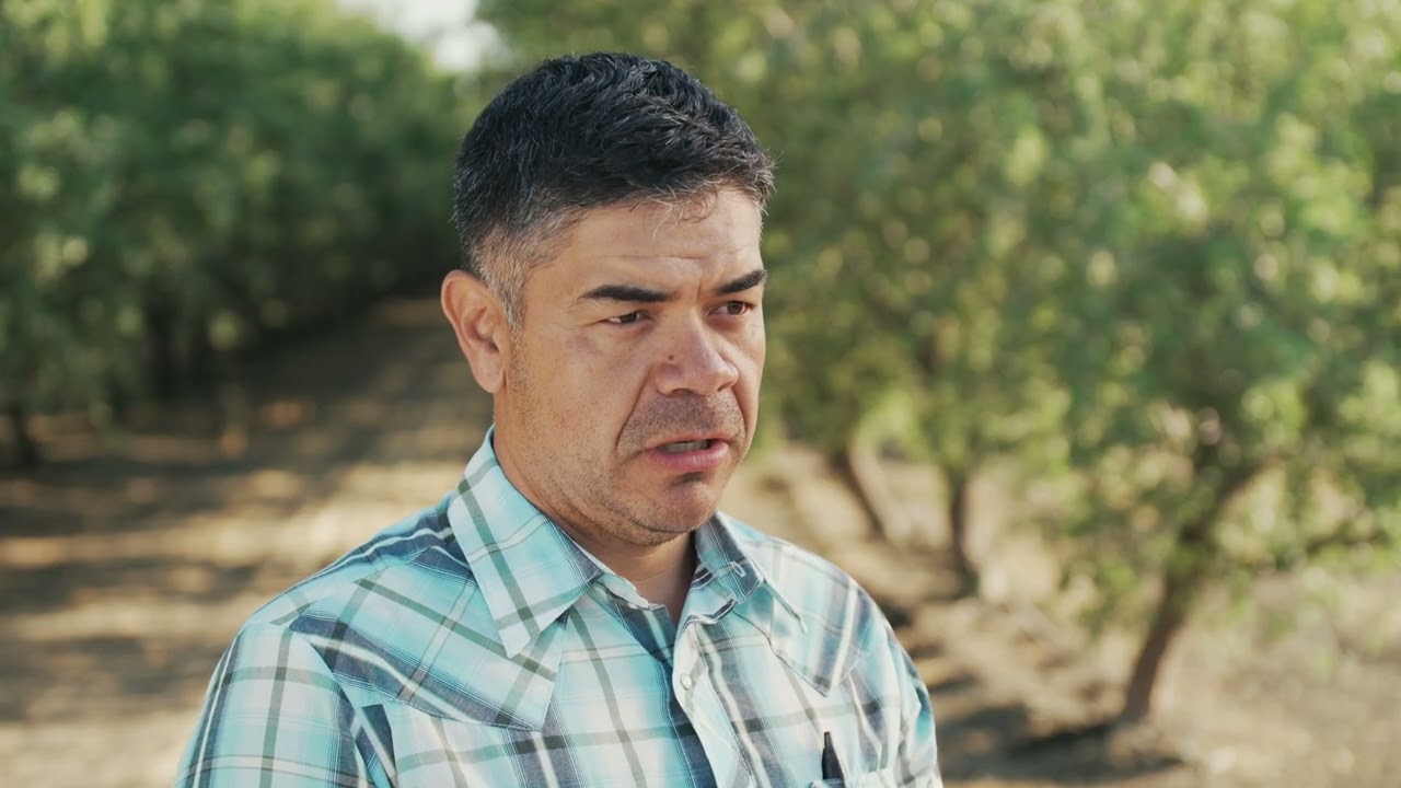 Farming with Purpose: How California Growers Embrace Sustainability and Innovation