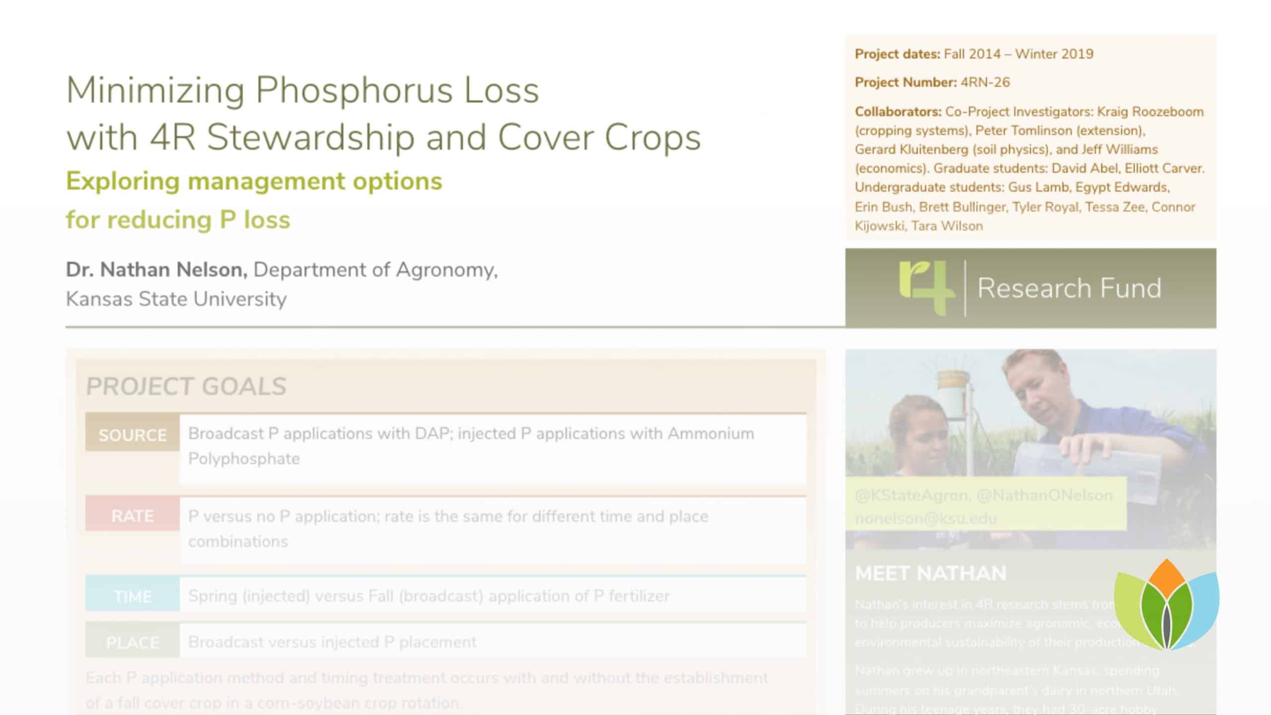 Minimizing Phosphorus Loss with 4R Stewardship and Cover Crops