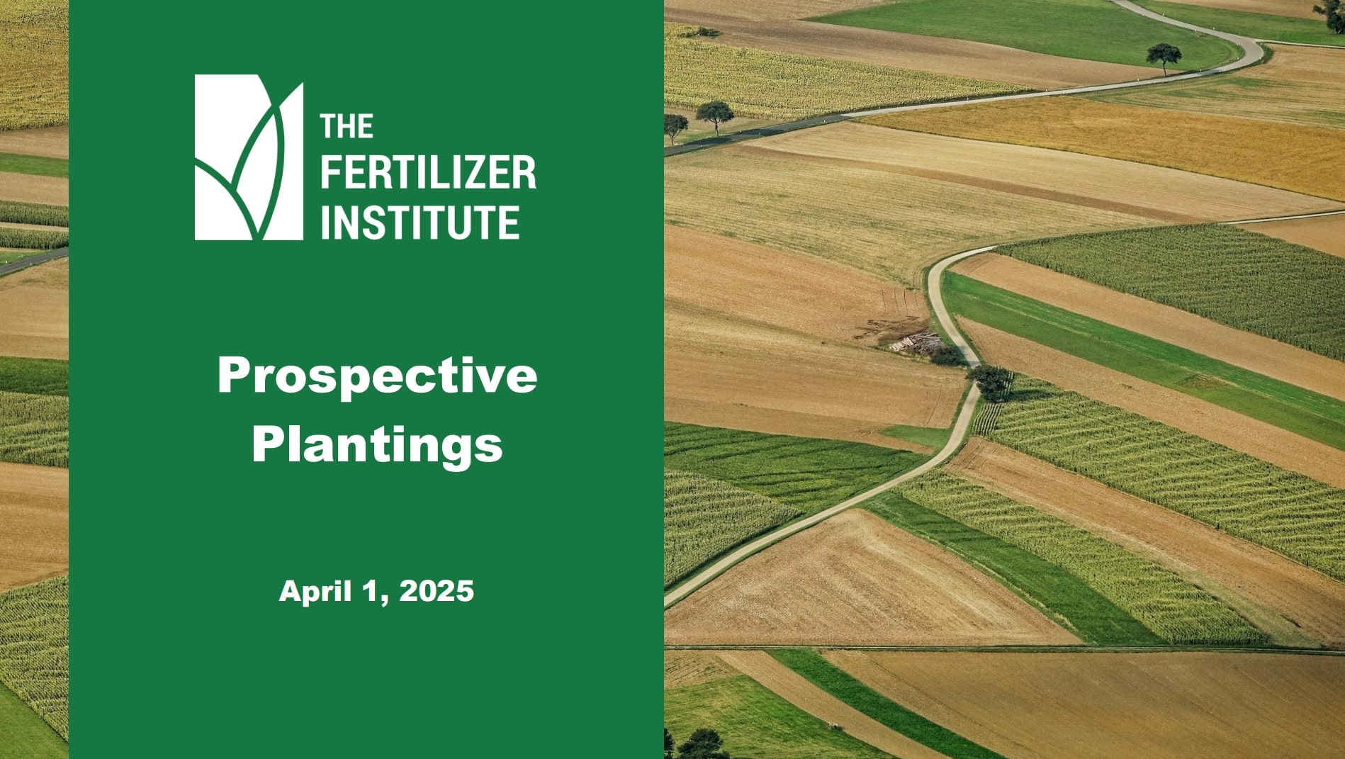 Webinar: USDA 2025 Prospective Plantings Report