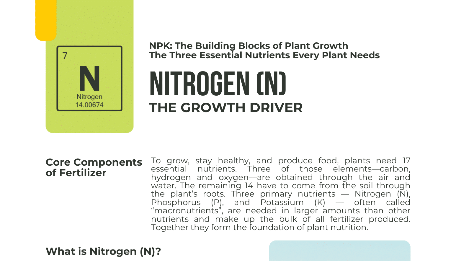 Nitrogen Commodity One-Pager