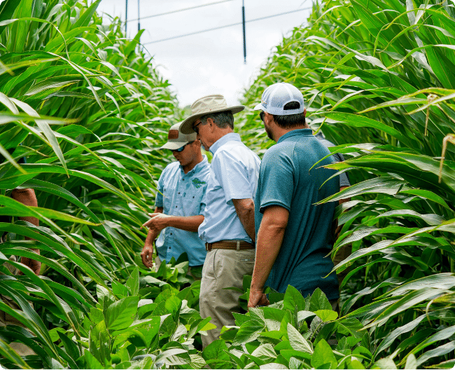 Empowering Farmers Through the Farm Bill: The Role of Conservation and Nutrient Stewardship