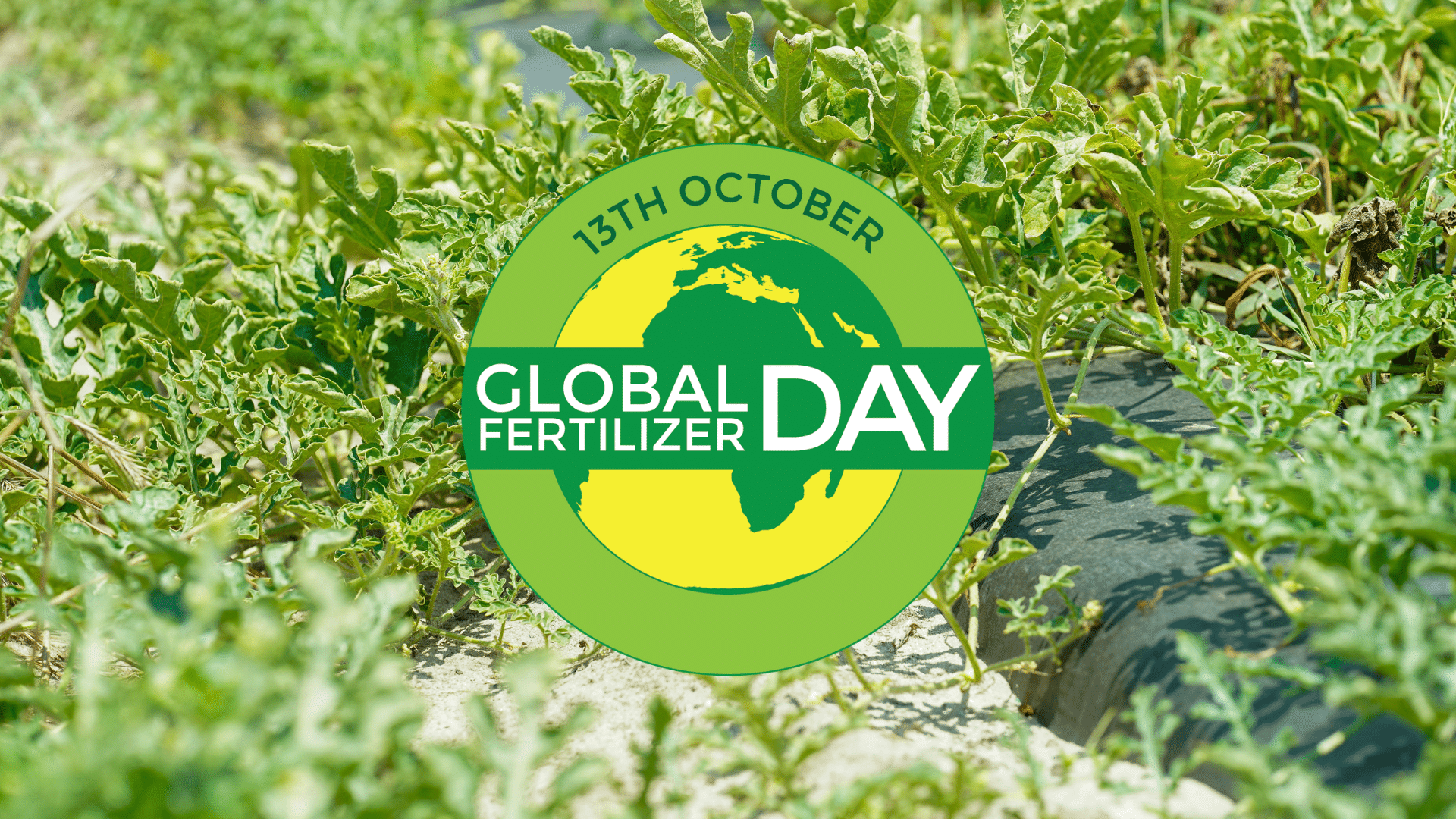 Global Fertilizer Day Sample Employee Communications