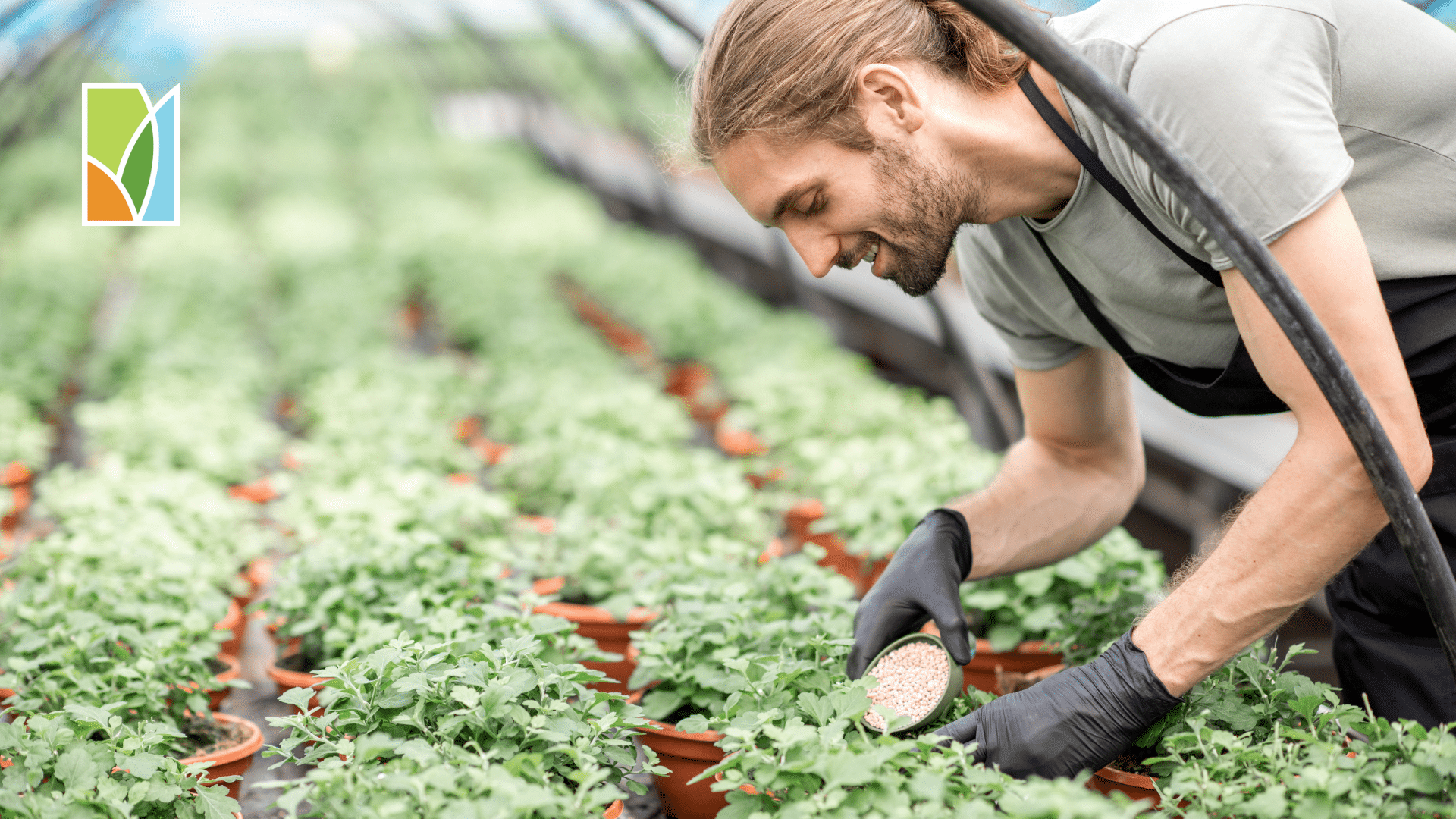 Celebrate Every Day as Global Fertilizer Day