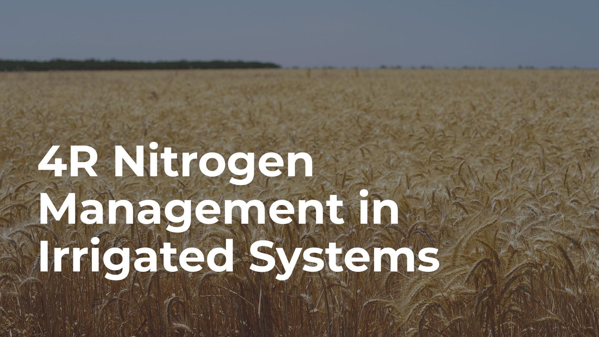 Webinar: 4R Nitrogen Management in Irrigated Systems