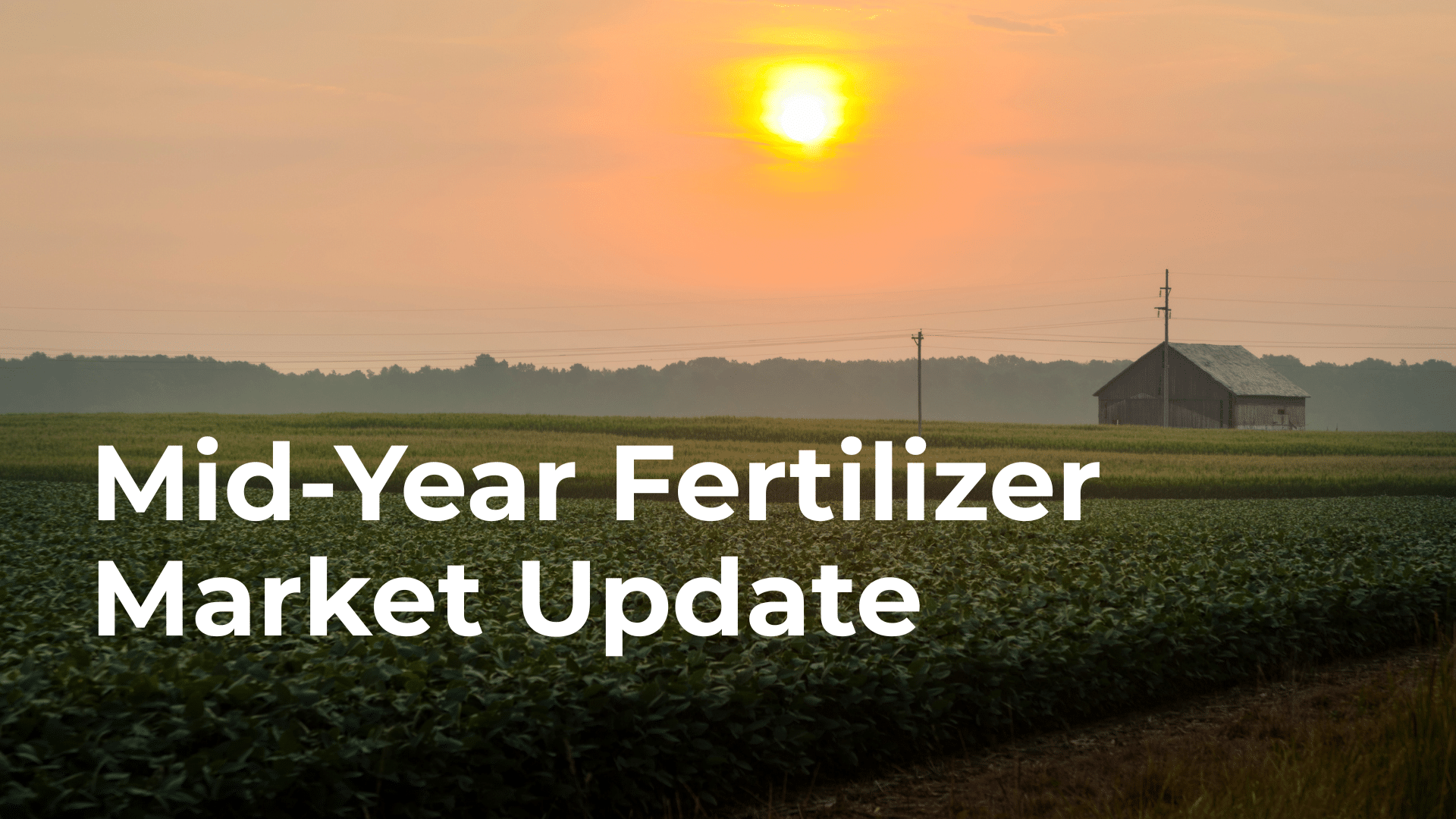 Webinar: Mid-Year Fertilizer Market Update