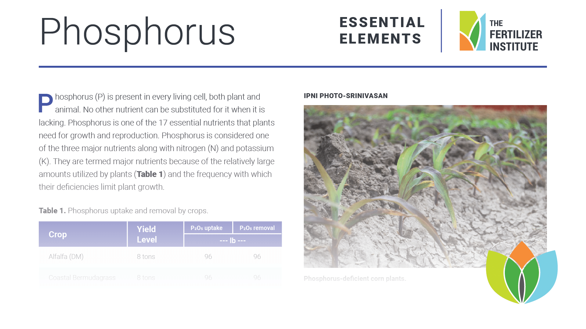 Essential Elements: Phosphate