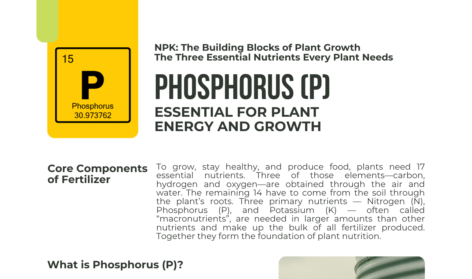 Phosphorus/Phosphate Commodity One-Pager