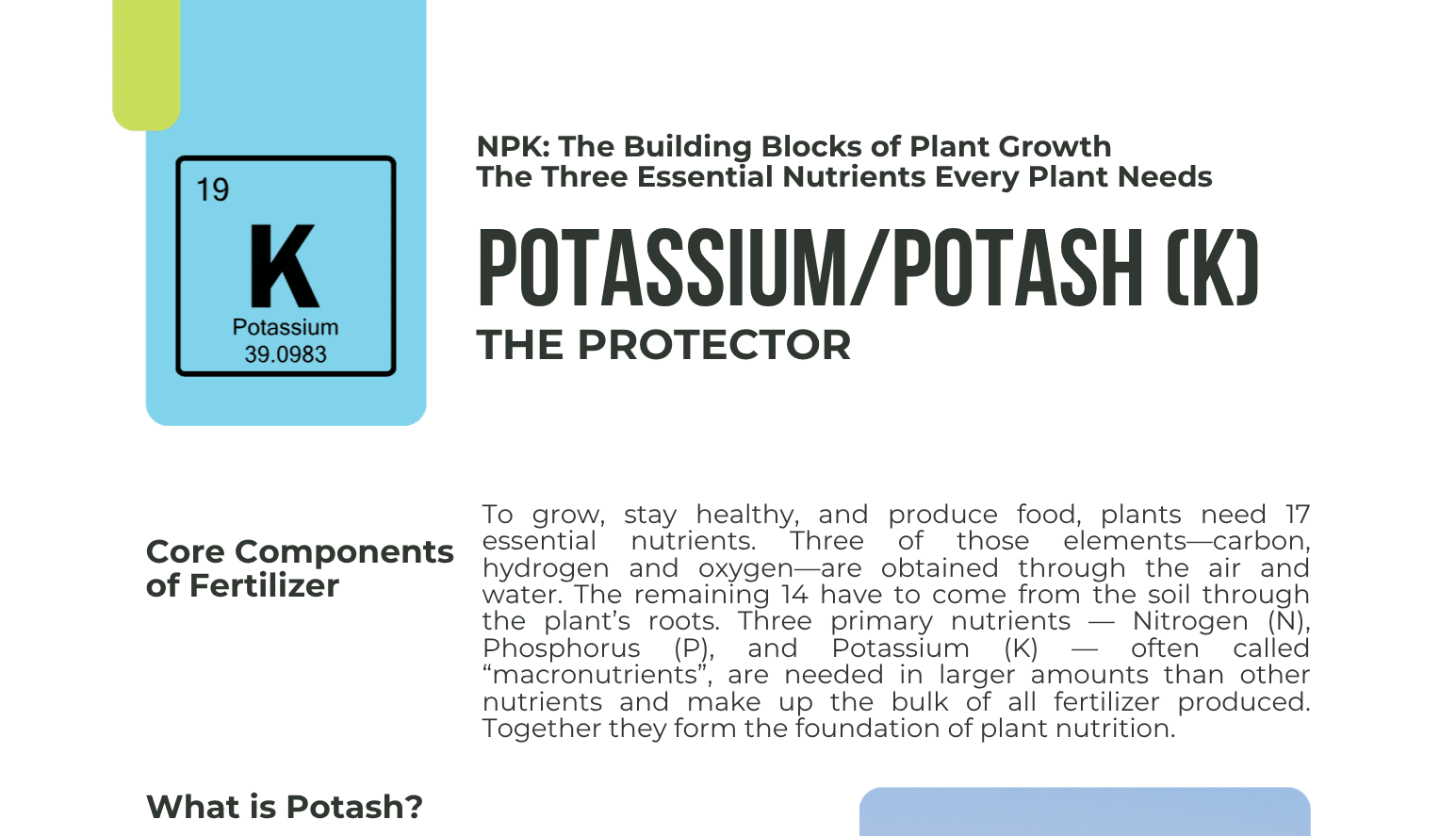 Potassium/Potash Commodity One-Pager