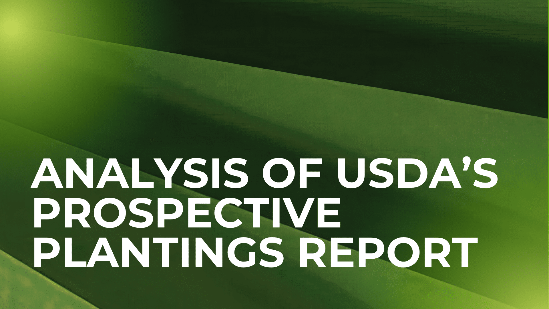 Analysis of USDA's Prospective Planting Report