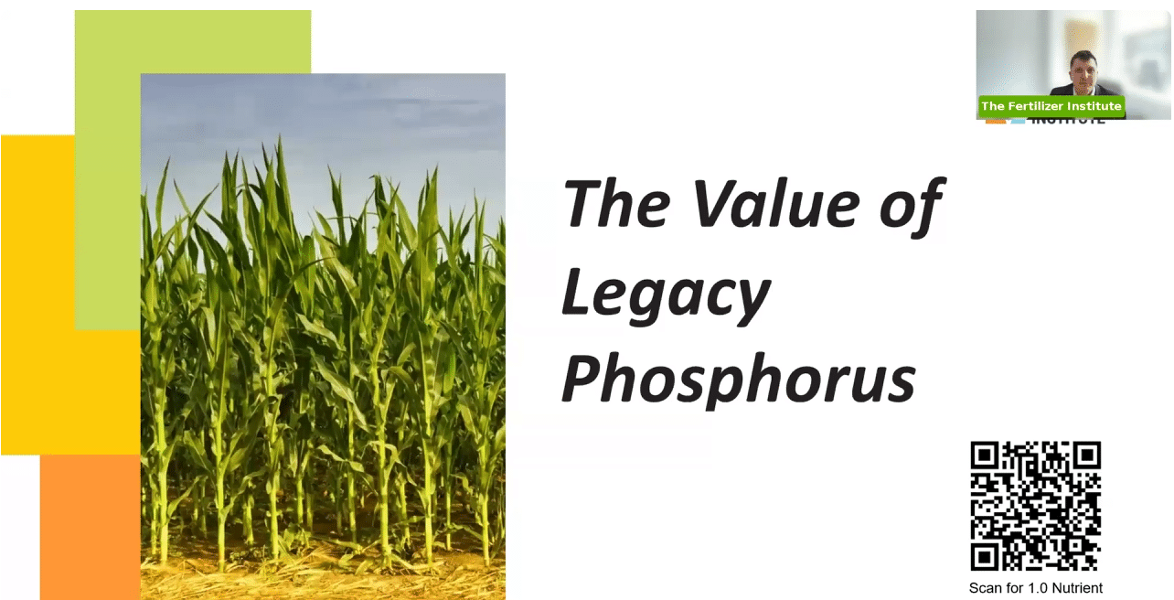 The Value of Legacy Phosphorus