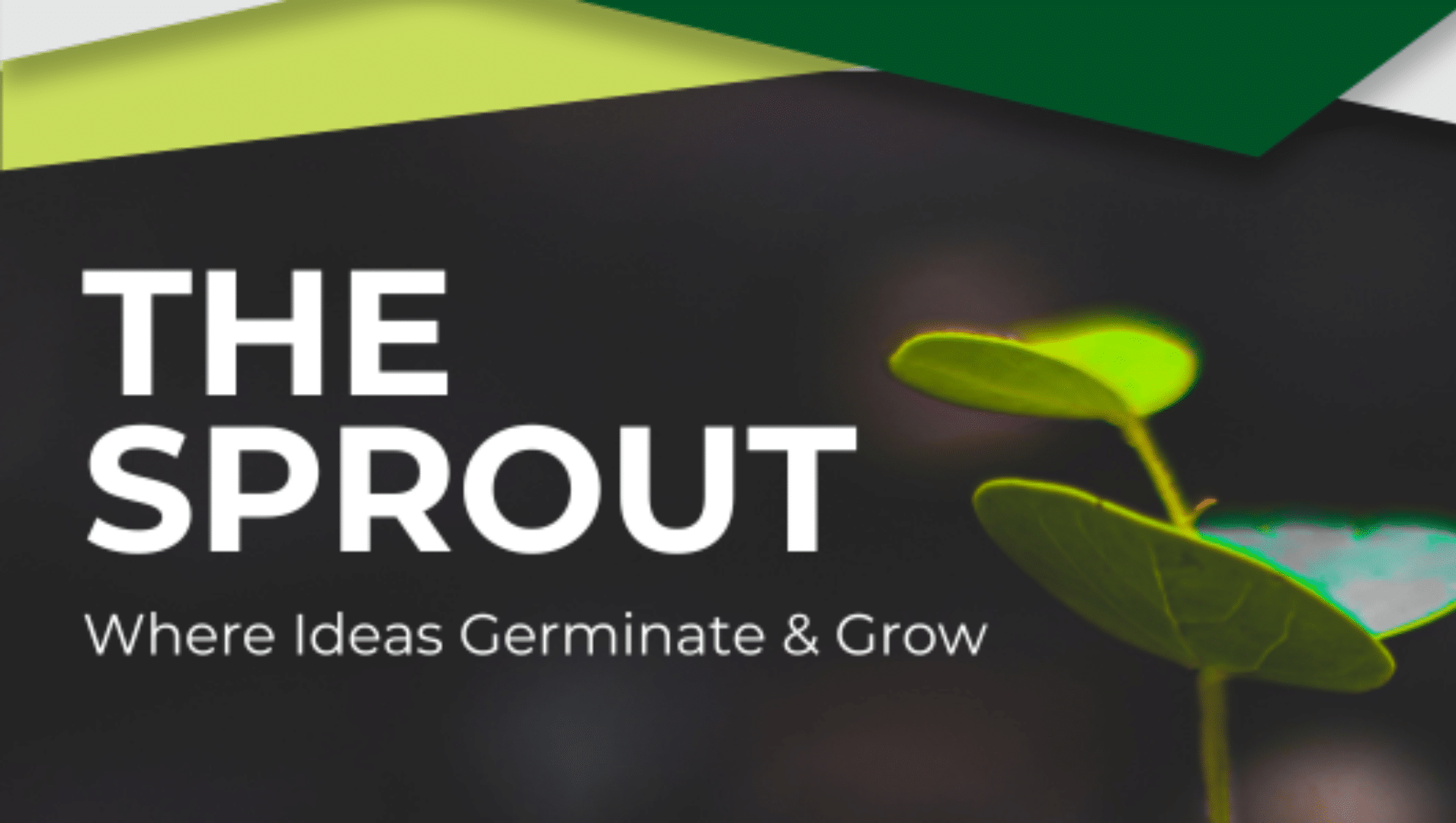 Social Media Research Posts